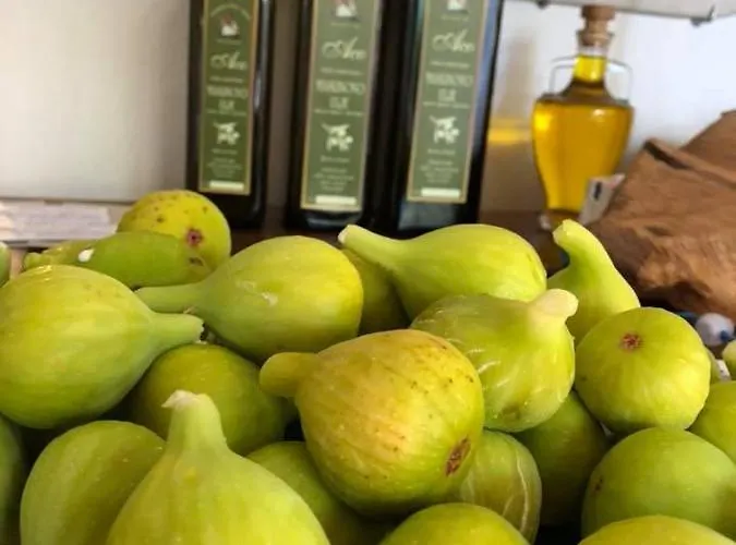 Aco فندق مبيت وإفطار