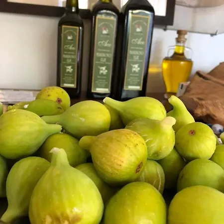 Aco Nocleg ze śniadaniem